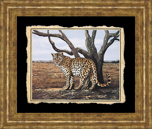 Cheetah Framed Print by Classy Living 206