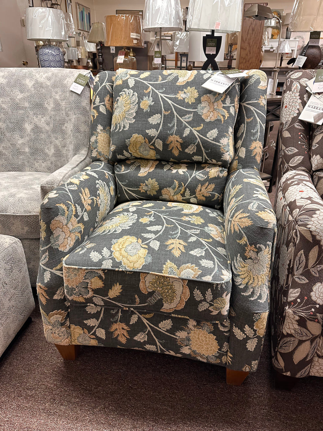 Russell Stationary Chair by Marshfield 2443-01 Bronte Graphite 6080