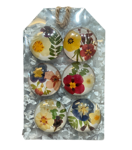 Faux Pressed Flower Magnet (6pc set) by Ganz CB196336