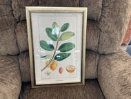 Framed Picture by StyleCraft CF100