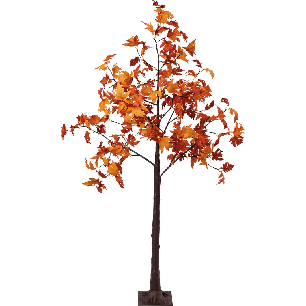 Fall Maple Medium Tree by OneCoast 107818