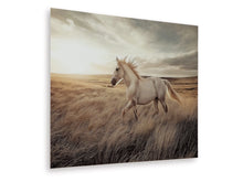Load image into Gallery viewer, Errolville Wall Art by Ashley Furniture A8000489