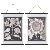 Sunflower Rolled Canvas Wall Decor by Ganz CB175095
