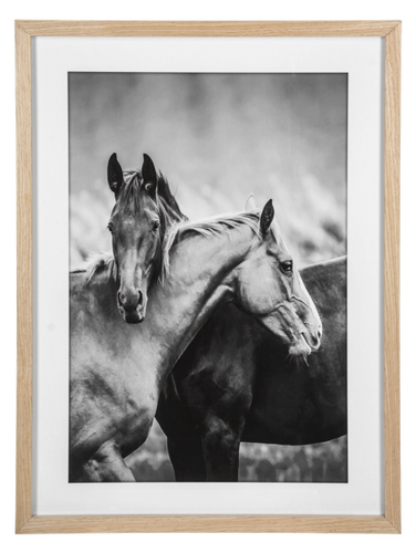 Framed Black & White Horse Friends Photography Wall Decor by Ganz CB188090