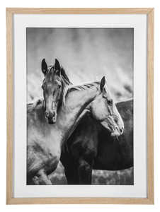 Framed Black & White Horse Friends Photography Wall Decor by Ganz CB188090