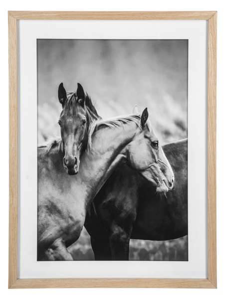 Framed Black & White Horse Friends Photography Wall Decor by Ganz CB188090