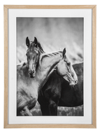 Framed Black & White Horse Friends Photography Wall Decor by Ganz CB188090