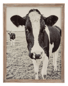 Friendly Cow Wall Decor in Barnwood Frame by Ganz CB196308