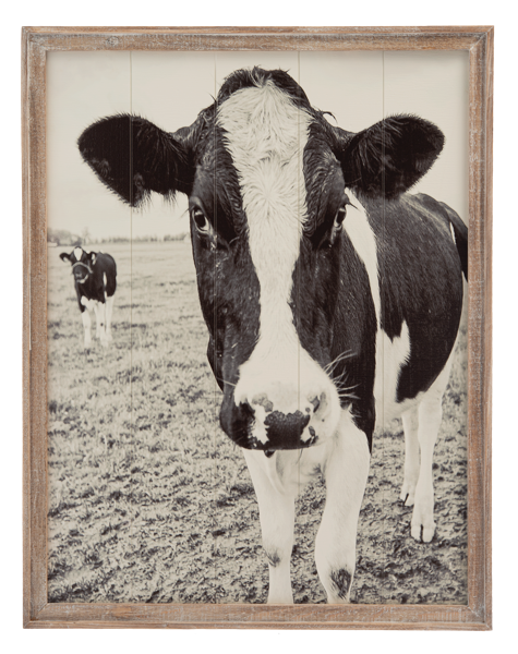 Friendly Cow Wall Decor in Barnwood Frame by Ganz CB196308