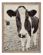 Friendly Cow Wall Decor in Barnwood Frame by Ganz CB196308