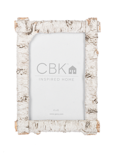 Rustic Birch Finish 4x6 Picture Frame by Ganz CB196848