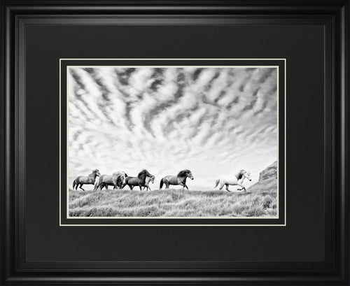 Horse Run III by Classy Living DM6192