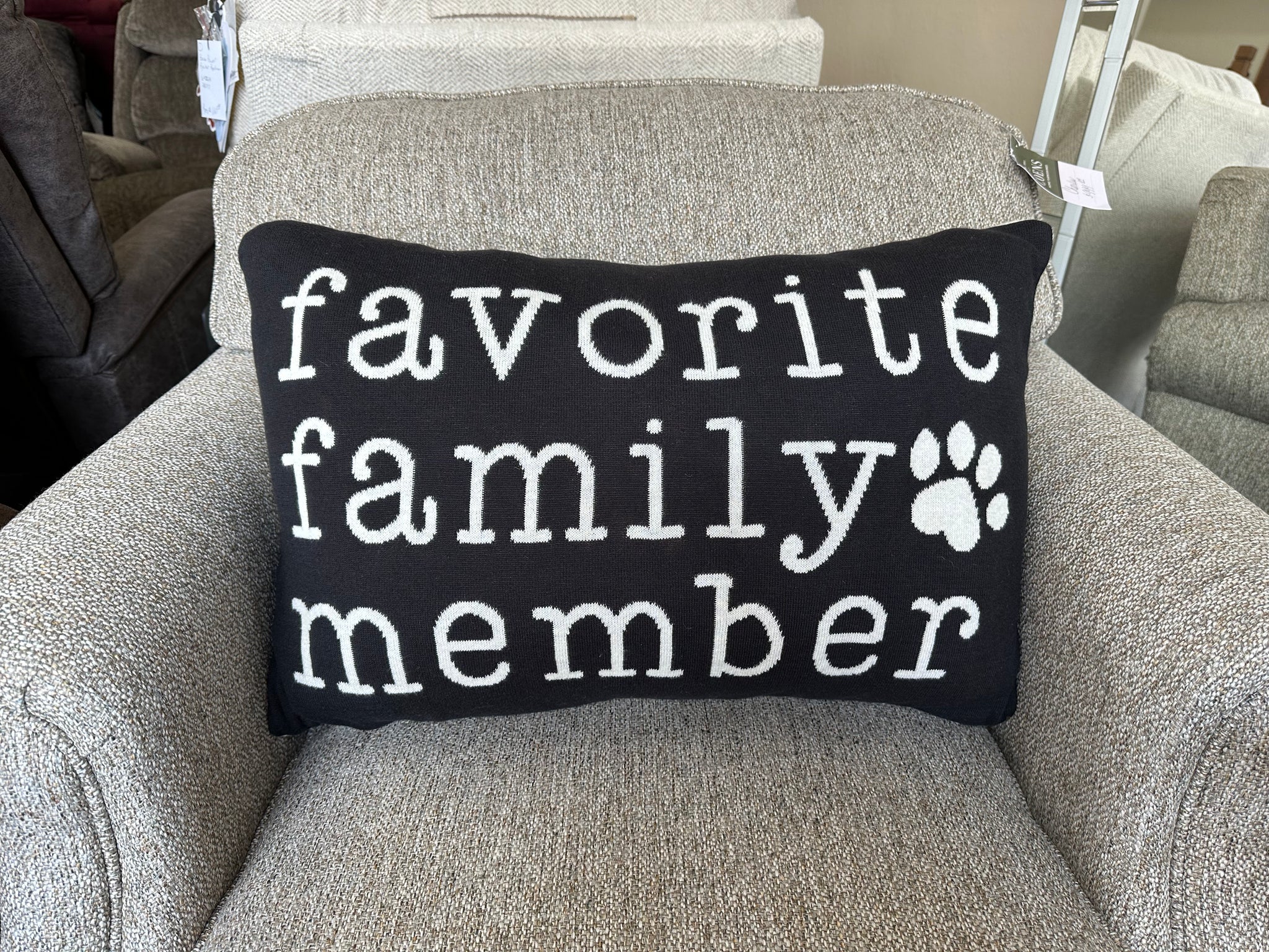 Favorite Family Member Lumbar Knit Pillow by Ganz CB179092 – Coen's Home  Furnishings