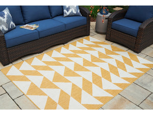 Thomley 5'x7' Indoor/Outdoor Rug by Ashley Furniture R900062