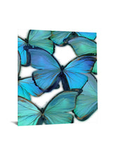 Load image into Gallery viewer, Floating Tempered Glass with Foil - Blue Butterflies by Classy Art SF1223