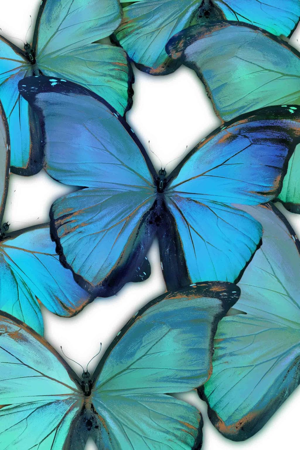 Floating Tempered Glass with Foil - Blue Butterflies by Classy Art SF1223