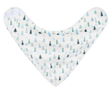 Load image into Gallery viewer, Bandana 2pc Bibs by Ganz BGX11905