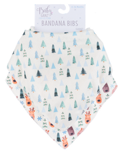 Load image into Gallery viewer, Bandana 2pc Bibs by Ganz BGX11905