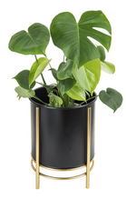 Load image into Gallery viewer, Black with Gold Accent Planter (2 pc set) by Ganz CB178306