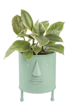 Load image into Gallery viewer, Shades of Sage Face Mini Planter CB178896 by Ganz