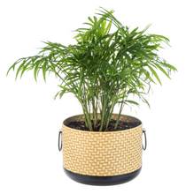 Load image into Gallery viewer, Embossed Weave Two-Toned Planter (2pc) Set by Ganz CB180510