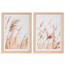 Load image into Gallery viewer, Framed Pampas Grass Wall Decor by Ganz CB185551