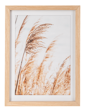 Load image into Gallery viewer, Framed Pampas Grass Wall Decor by Ganz CB185551