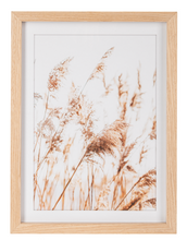 Load image into Gallery viewer, Framed Pampas Grass Wall Decor by Ganz CB185551