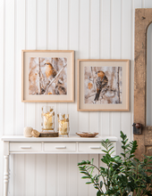 Load image into Gallery viewer, Framed Bird on Branch Wall Decor by Ganz CB185563