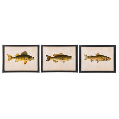 Framed Fish Wall Decor (3pc ppk) by Ganz CB186862