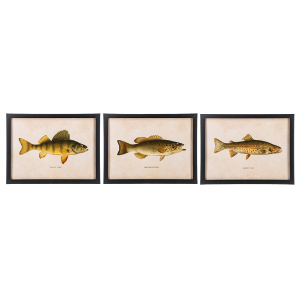 Framed Fish Wall Decor (3pc ppk) by Ganz CB186862