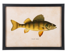 Load image into Gallery viewer, Framed Fish Wall Decor (3pc ppk) by Ganz CB186862