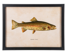 Load image into Gallery viewer, Framed Fish Wall Decor (3pc ppk) by Ganz CB186862