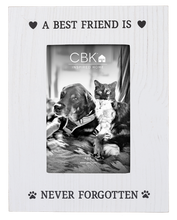 Load image into Gallery viewer, Pet Memorial 4x6&quot; Frame by Ganz CB186936