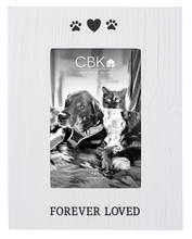 Load image into Gallery viewer, Pet Memorial 4x6&quot; Frame by Ganz CB186936