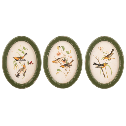Bird on Branch in Distressed Green Frame by Ganz CB196519