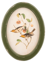 Load image into Gallery viewer, Bird on Branch in Distressed Green Frame by Ganz CB196519