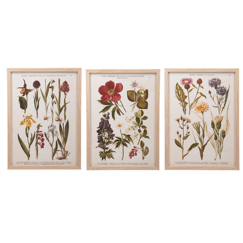 Floral Chart Wall Decor by Ganz CB196521