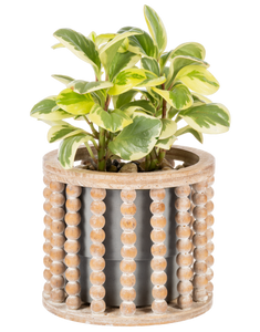 Beaded Open Slat Planter (2pc set) by Ganz CG179440