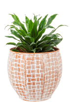 Load image into Gallery viewer, Embossed Woven Terracotta Finish Curved Planter (2pc set) by Ganz CG179467