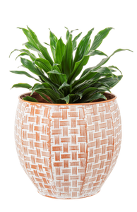 Embossed Woven Terracotta Finish Curved Planter (2pc set) by Ganz CG179467