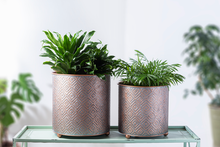 Load image into Gallery viewer, Copper Finish Embossed Diamond Planter (2pc set) by Ganz CG179468