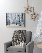 Load image into Gallery viewer, Black &amp; Natural Snowflake Woven Throw by Ganz CX195009