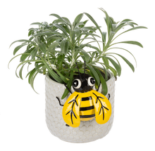 Load image into Gallery viewer, Insect Pot Hangers by Ganz MG194821