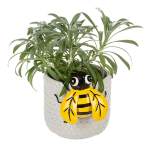 Insect Pot Hangers by Ganz MG194821