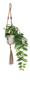 Beaded Plant Hangers by Ganz MG195490