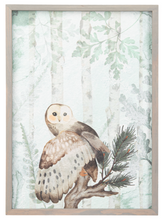 Load image into Gallery viewer, Winter Owls Wall Decor (2pc ppk) by Ganz MX192713