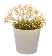 Load image into Gallery viewer, LED Light Up Oversized Starburst Ornament - Lg by Ganz MX199485