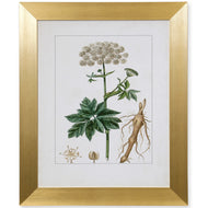 Antique Turpin Botanical I by StyleCraft WM12907