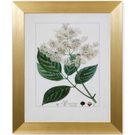 Antique Turpin Botanical V by StyleCraft WM12908